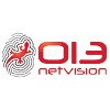 013 Netvision logo