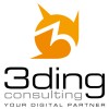 3Ding Consulting logo