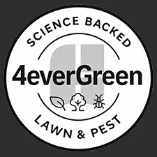 4everGreen Turf Management logo