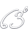 63 Degrees logo