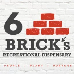 6 Bricks logo