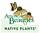 American Beauties Native Plants logo