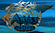 Abyss Dive Center logo