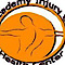 Academy Injury and Health Center logo