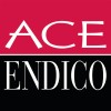 Ace Endico logo