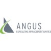 Angus Consulting Management logo