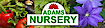 Adams Nursery logo