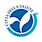 Afea | Healthcare E-Volution logo