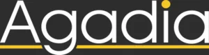 Agadia Systems logo