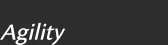 Agility Global logo
