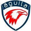 Aguila Consulting logo