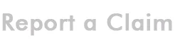 American International Group logo