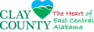 Clay County Chiropractic logo