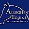 Allegheny Equine Veterinary Service logo