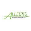 Allegro Business Intelligence logo