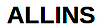 Allins Usa logo