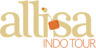 Allisaindotour.Com logo