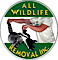 All Wildlife Removal logo