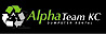 Alpha Team Dumpster Rental logo