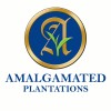 Amalgamated plantations Pvt logo