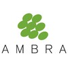 Ambra logo