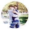 Amego logo