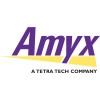 Amyx logo