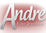 Andre Fine Jewelers logo