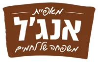 Shlomo A. Angel logo