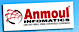 Anmoul Infomatics logo