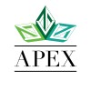 Apex Extractions logo