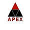 Apex Enterprises logo