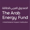 Arab Petroleum Investments logo