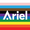 Ariel Group logo