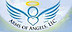 Arms of Angels logo