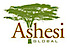 Ashesi Global Services logo