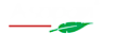 Asopan logo