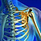 Aspen Orthopaedic & Rehabilitation Specialists logo