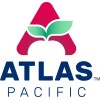 Atlas Pacific Engineering logo