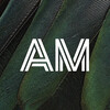 Auckland War Memorial Museum logo