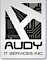 Audy IT Services logo