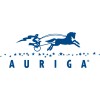 Auriga logo