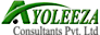 Ayoleeza Consultants logo