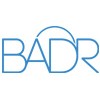 Badr logo