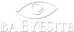 BA Eye Site logo