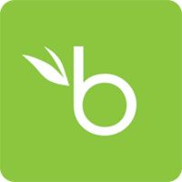 Bamboohr logo