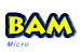 Bam Micro logo