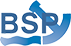 Batumi Sea Port logo