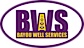 Bayou Well Services logo