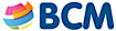 Bcm Business Cost Management logo